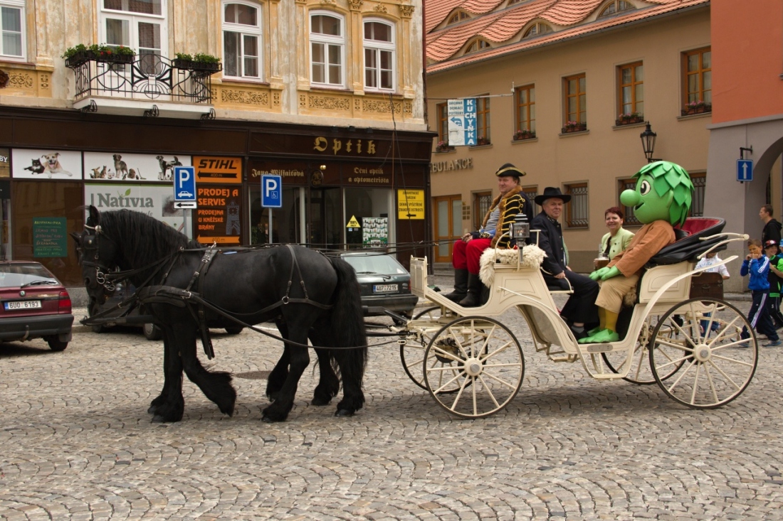 Chmelfest - ročník 2013