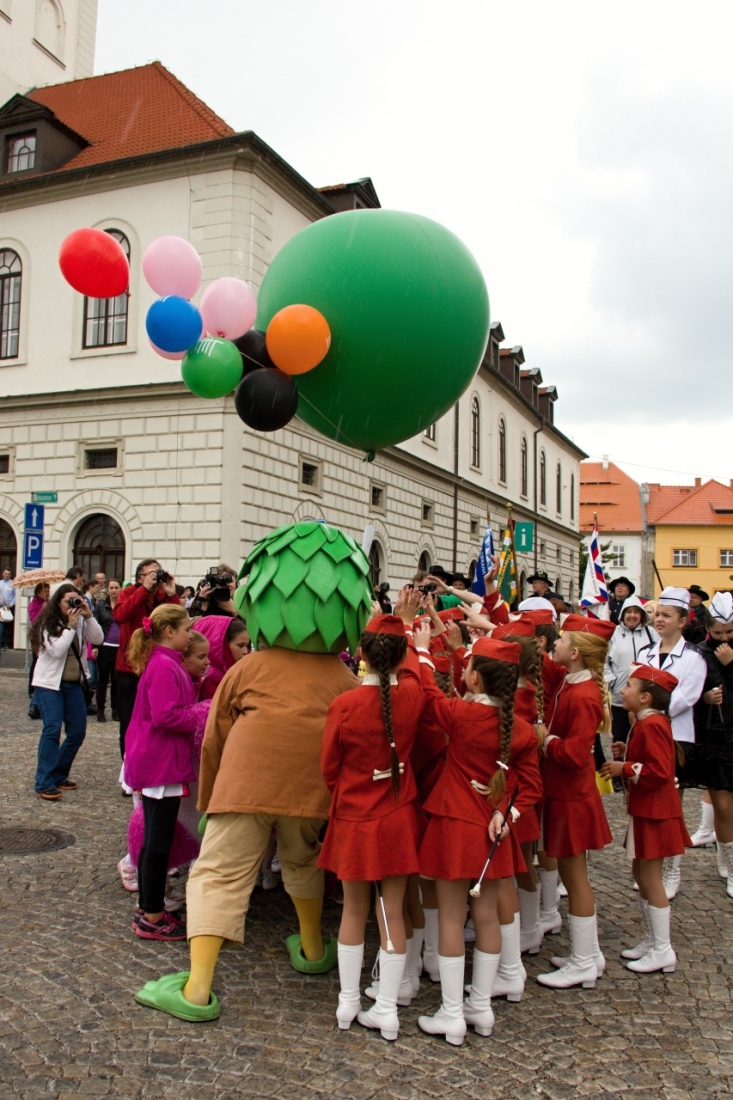 Chmelfest - ročník 2013